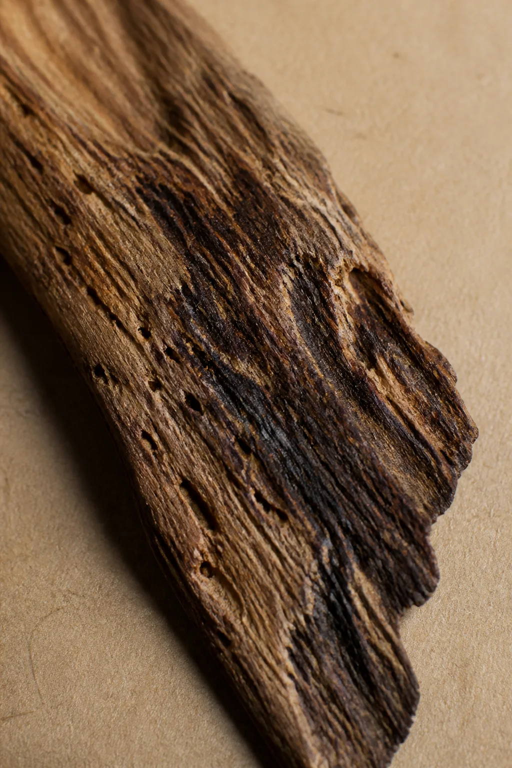 Close view of dark wood grain with fine irregular lines under soft side light