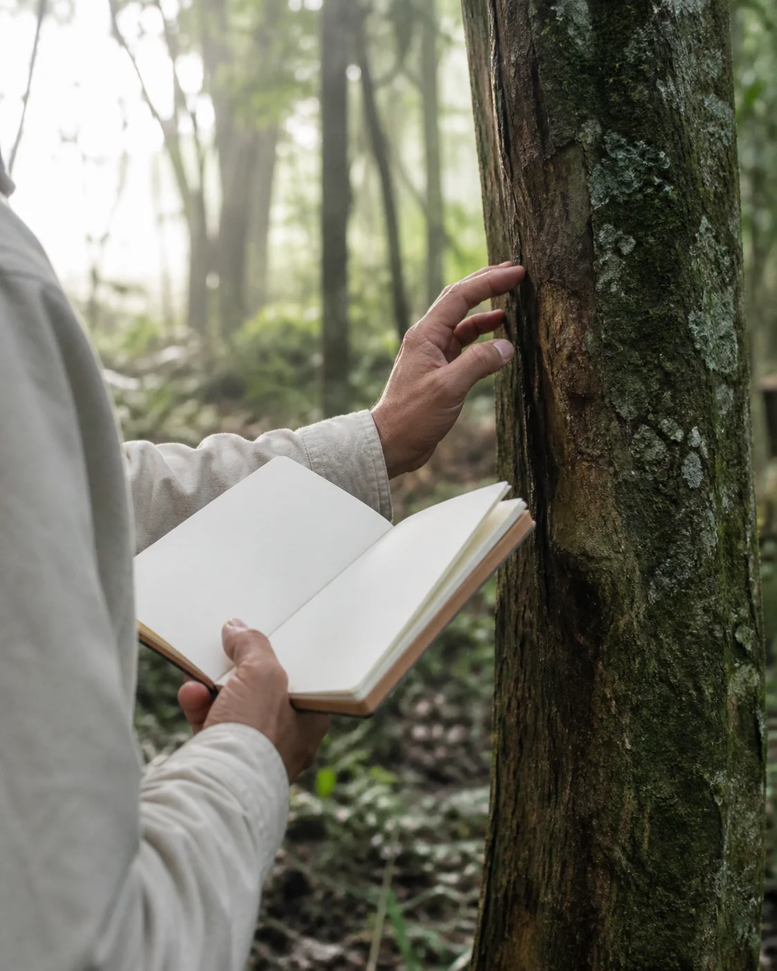 A field worker studying the bark of a living tree with a blank notebook in a quiet forest