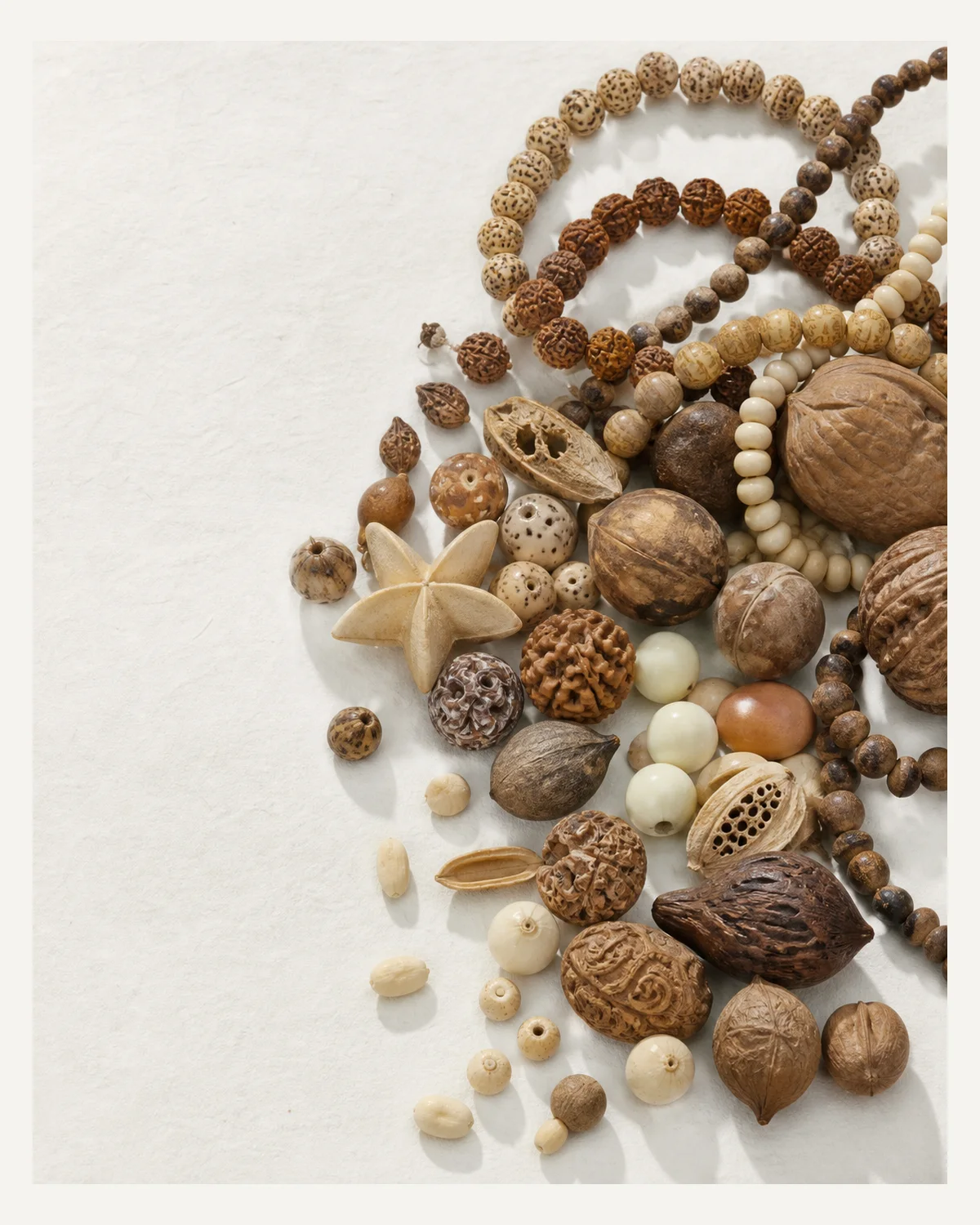 Bodhi, Seeds & Nuts reference board